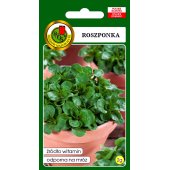 Roszponka warzywna VOLHART3 (Valerianella olitoria) - 2 g