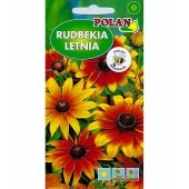 Rudbekia letnia (Rudbeckia hirta) - 2 g