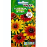 Rudbekia letnia (Rudbeckia hirta) - 2 g