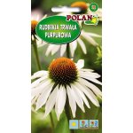 Rudbekia purpurowa, Jeżówka (biała) (Rudbeckia purpurea) - 0,5 g