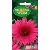 Rudbekia purpurowa, Jeżówka (różowa) (Rudbeckia purpurea) - 1 g
