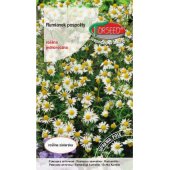 Rumianek pospolity (Matricaria chamomilla) - 0,5 g