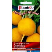 Rzepa jadalna GOLDEN BALL (Brassica rapa var. rapa) - 5 g