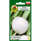 Rzepa jadalna SNOWBALL (Brassica rapa L.) - 5 g