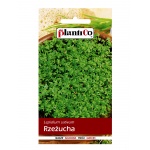 Rzeżucha (Lepidium sativum) - 10 g