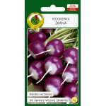 Rzodkiewka kulista DIANA (Raphanus sativus) - 5 g