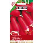 Rzodkiewka podłużna OPOLANKA (Raphanus sativus) - 12 g