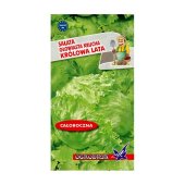 Sałata krucha całosezonowa KRÓLOWA LATA (Lactuca sativa) - 1 g