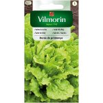 Sałata krucha lodowa całosezonowa DOREE DE PRINTEMPS (Lactuca sativa) - 1 g