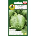 Sałata krucha lodowa średniowczesna LARSEN (Lactuca sativa) - 1 g