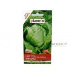 Sałata krucha lodowa wczesna KWIRYNA (Lactuca sativa) - 1 g