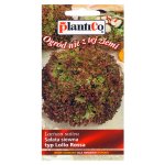 Sałata liściowa całosezonowa LOLLO ROSSA (Lactuca sativa) - 0,5 g