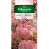 Sałata liściowa CRIMSON (Lactuca sativa) - 1 g