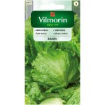 Sałata lodowa całosezonowa SALADIN (Lactuca sativa) - 2 g