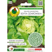 Sałata masłowa wczesna EDYTA OŻAROWSKA otoczkowana (Lactuca sativa) - 100 nasion