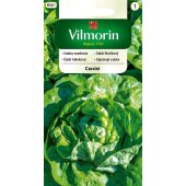 Sałata masłowa średniowczesna CASSINI (Lactuca sativa) - 0,5 g