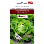 Sałata masłowa wczesna KRÓLOWA MAJOWYCH otoczkowana (Lactuca sativa) - 150 nasion