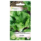 Sałata rzymska GALBA (Lactuca sativa) - 1 g 