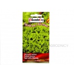 Sałata liściowa całosezonowa LOLLO BIONDA (Lactuca sativa) - 0,5 g