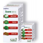 Score 250 EC -  50 ml