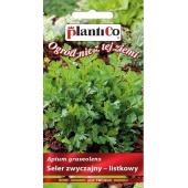 Seler listkowy JEMNY (Apium graveolens) - 0,2 g