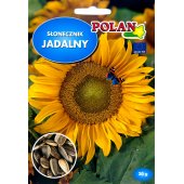 Słonecznik jadalny (Helianthus annuus) - 20 g