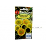 Słonecznik ozdobny wysoki AMOR mieszanka (Helianthus annuus) - 3 g