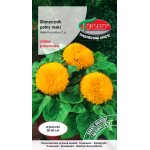 Słonecznik ozdobny niski pełny (Helianthus annuus) - 2 g