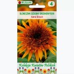 Słonecznik ozdobny średnio wysoki ASTRA BROWN (Helianthus annuus) - 1 g