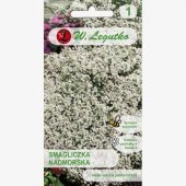 Smagliczka nadmorska (biała) (Lobularia maritima) - 0,5 g