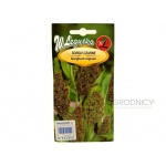 Sorgo czarne (Sorghum nigrum) - 1 g