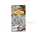 Starzec popielny, Mrozy (Cineraria maritima) - 0,2 g