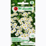 Stokrotka pospolita, łąkowa (biała) (Bellis perennis) - 0,2 g