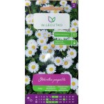Stokrotka pospolita, łąkowa (biała) (Bellis perennis) - 0,2 g