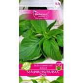 Szałwia HISZPAŃSKA CHIA (Salvia hispanica) - 0,2 g