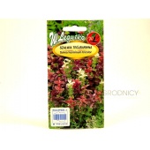 Szałwia trójbarwna (Salvia horminum tricolor) - 0,5 g