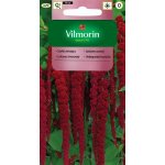 Szarłat zwisły (Amaranthus caudatus) - 2 g