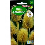 Szczeć barwierska (Dipsacus sativus) - 0,5 g