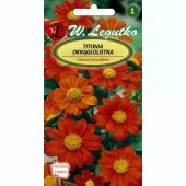 Titonia okrągłolistna (Tithonia rotundiflora) - 1 g