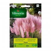 Trawa pampasowa różowa (Cortaderia selloana) - 100 mg