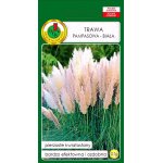 Trawa pampasowa (Cortaderia selloana) - 0,1 g