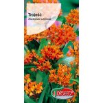 Trojeść (Asclepias tuberosa) - 0,5 g 