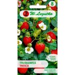 Truskawka TRESCA (Fragaria ananassa) - 0,03 g