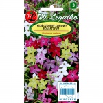 Tytoń ozdobny karłowy ROULETTE F2 (Nicotiana sanderae) - 0,1 g 