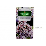 Werbena patagońska  (Verbena bonariensis) - 0,3 g