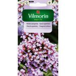 Werbena patagońska  (Verbena bonariensis) - 0,3 g