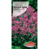 Wieczornik damski (fioletowy) (Hesperis matronalis) - 1 g