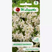 Wilczomlecz białobrzegi (Euphorbia marginata) - 0,5 g