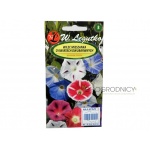 Wilec o kwiatach dwubarnych (mieszanka) (Ipomoea tricolor) - 2 g  