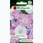 Wilec, Powój pnący ARLEKIN (Ipomea purpurea) - 1 g